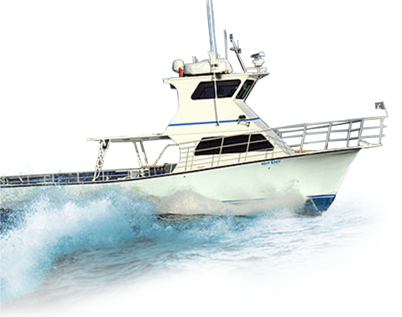 Pensacola Offshore Fishing Charters